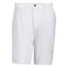 Adidas Primeblue Golf Shorts HA6130